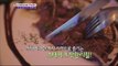 [K-Food] Spot!Tasty Food 찾아라 맛있는 TV - steak all you can-eat (Yeoksam-dong) '스테이크' 무한리필 20151003