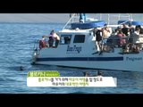 [Sightseeing throughout nations] 만국유람기 3편 - Whale watching and snorkeling in Maui   20150523
