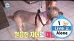 [I Live Alone] 나 혼자 산다 - Hwangseokjeong canine companion, a complete transformation 20150619