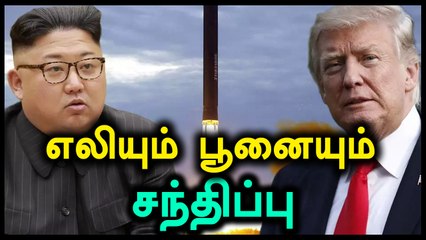 அமெரிக்க அதிபர் டிரம்பும் வட கொரிய அதிபரும் விரைவில் சந்திப்பு- வீடியோ
