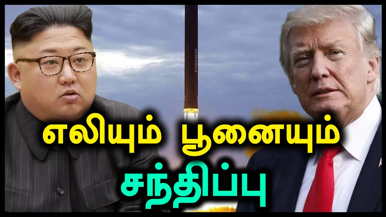அமெரிக்க அதிபர் டிரம்பும் வட கொரிய அதிபரும் விரைவில் சந்திப்பு- வீடியோ