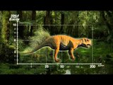 The growth process of Psittacosaurus, MBC Documentary Special 20140203
