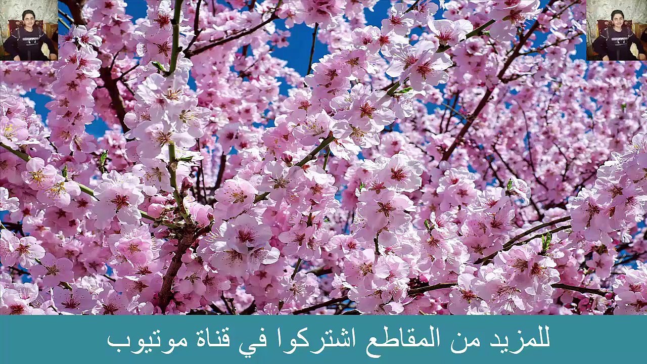 تلاوة  سوره الزلزلة