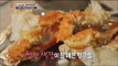 [K-Food] Spot!Tasty Food 찾아라 맛있는 TV - Honningsvåg King crab 호닝스버그 킹크랩(노르웨이) 20150221