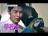 [Section TV] 섹션 TV - Hong Jong-Hyun, fighting with  parrot  홍종현,앵무새와 기싸움 20150222