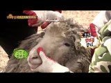 [Animals] 애니멀즈 - OK salon opened! Yoon Dohyun, like a mom 