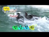 [My Young Tutor] 띠동갑내기 과외하기 20회 - Jung Da-rae vs Lee Jae-hoon swimming competition  20150326