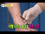 [HOT] 세바퀴 - 김구라 녹화 중 거머리 물려?! 거머리 요법 대공개! 20140628