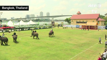 Big competition at Bangkok's elephant polo games