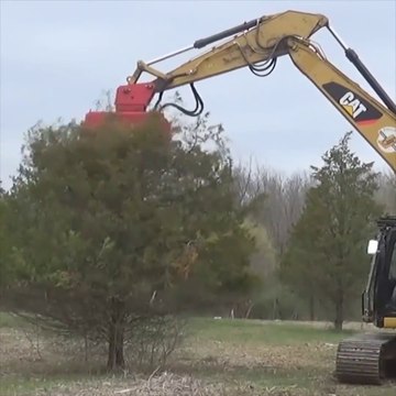 Cette machine surpuissante réduit un arbre en poussière en quelques secondes