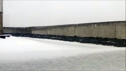 30 minutes of silent snowing video for relaxation and calming