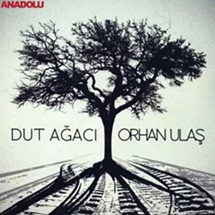 Orhan Ulaş -  Elgajiye