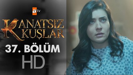 Kanatsız Kuşlar 37. Bölüm