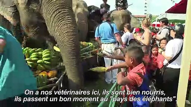 Au cœur de Bangkok, des éléphants joueurs de polo