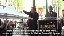 L'acteur de Star Wars Mark Hamill mis à l'honneur à Hollywood