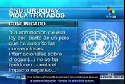 Marijuana legalisation in Uruguay breaks international treties: INCB