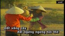 Tình Cây Và Đất - Hạ Vy