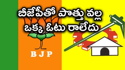 TDP's Future with BJP after special status issue