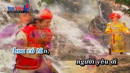 Tình Hồng Như Mơ - Cẩm Ly  Đan Trường