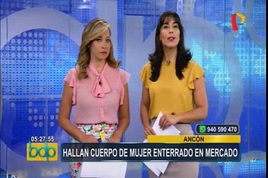 Piura: rescatan a monos y aves que eran exhibidos ilegalmente en parque acuático