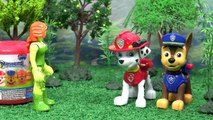 Paw Patrol Jungle Trouble Episode with Tracker Mashems Thomas The Train Poison Ivy and Penguin TT4U