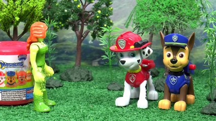 Paw Patrol Jungle Trouble Episode with Tracker Mashems Thomas The Train Poison Ivy and Penguin TT4U