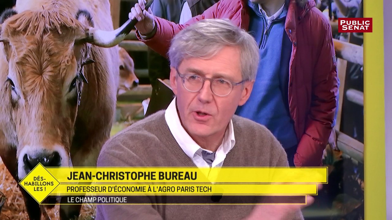 Extrait de Jean-Christophe Bureau dans Déshabillons-les - Le champ politique