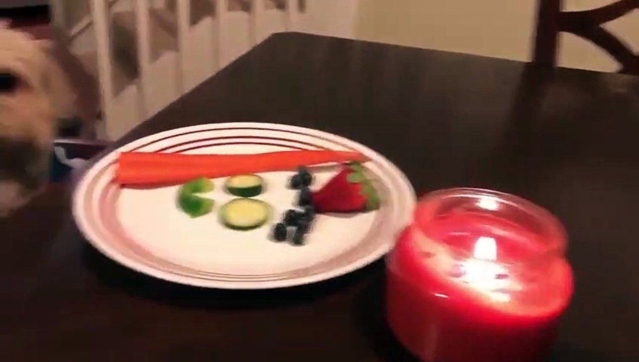 Un chien qui mange une carotte à table... narmol