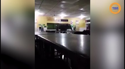 Un éléphant affamé est venu rendre une petite visite dans la cantine d'une école