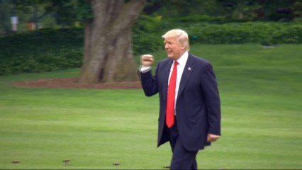 Trump tariffs: Industry workers rejoice the move