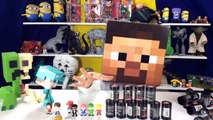 Tube Heroes Mystery Figures opened by Minecraft Steve!