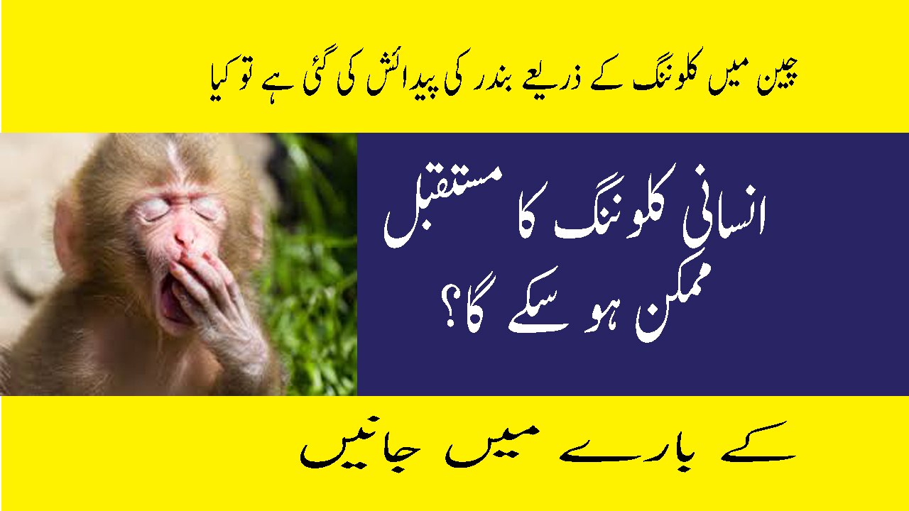 What is Future Of Human Cloning In Urdu China Monkey Clone
