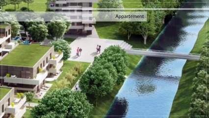 A vendre - Appartement - Payerne (1530) - 3.5 pièces - 80m²