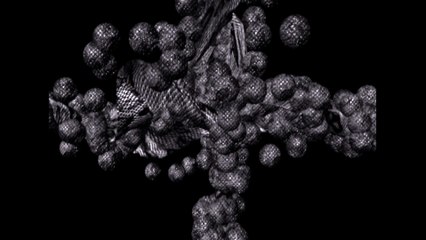 SerpentS on the robe