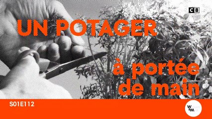 Un potager dans votre cuisine