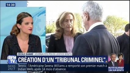 À quoi doit servir le "tribunal criminel" voulu par la ministre de la Justice?