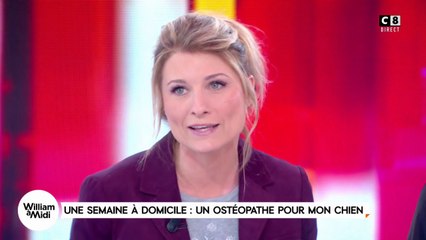 Une semaine à domicile : un ostéopathe pour mon chien