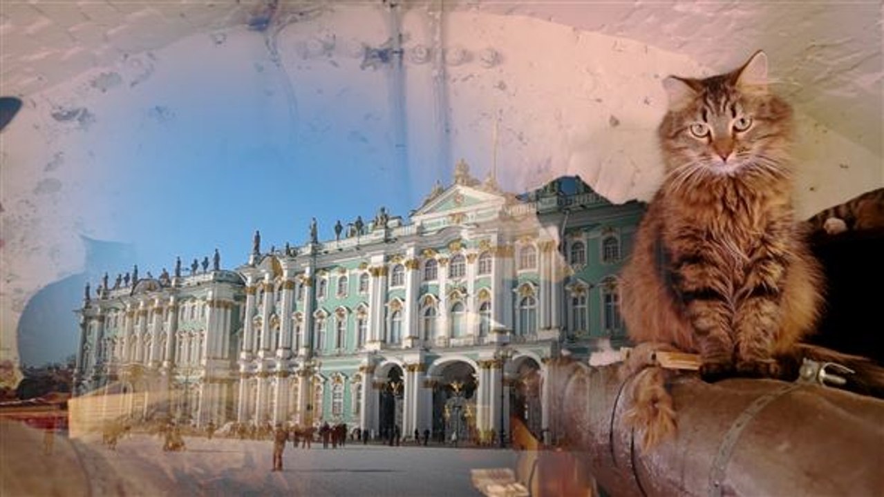 Kunstpalast in russland: die mäusejäger der eremitage
