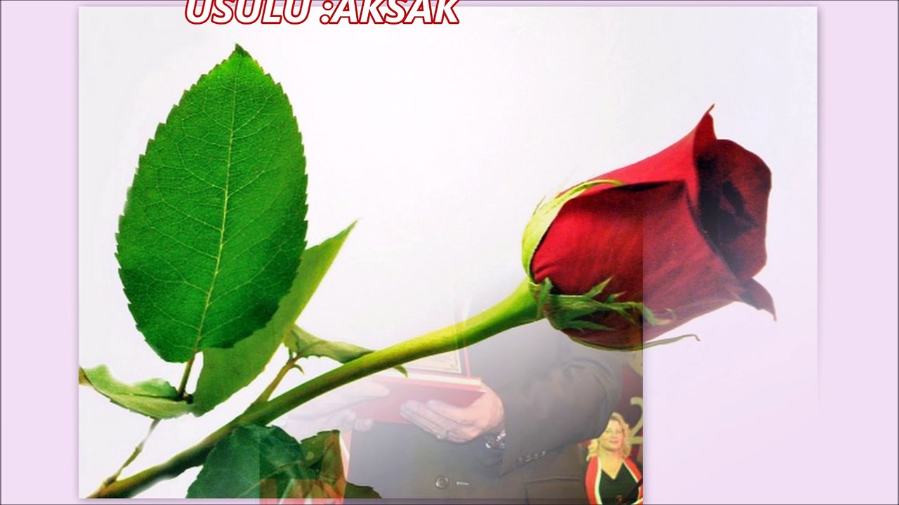 GÜLLER SENİ KISKANIYOR NACİ TUNÇEL