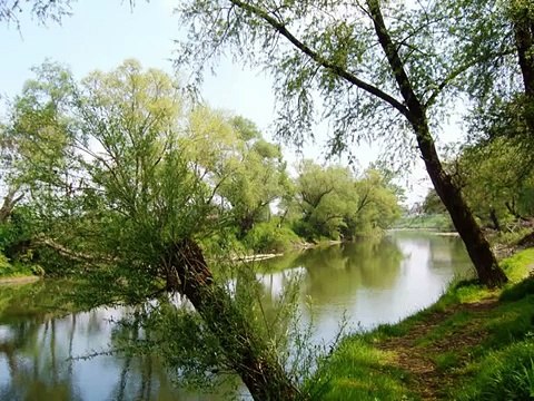 S ploče pjesma iz 70-tih god. BRAĆA P Ležao je u bolnici pjesma s ploče