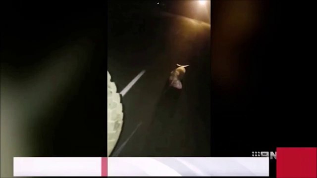 Honteux et scandaleux, ce pêcheur traîne un requin accroché derrière sa voiture