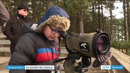 Marquenterre : le paradis des oiseaux