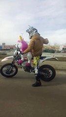 Man Rides Motorcycle with Stuffed Unicorn