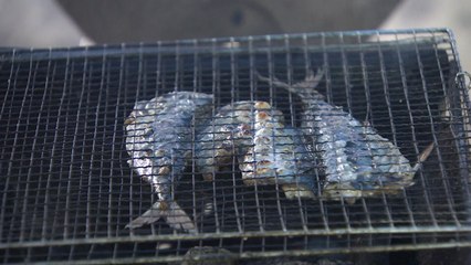 우리나라 대표 생선은 고등어...해수욕장은 해운대 / YTN