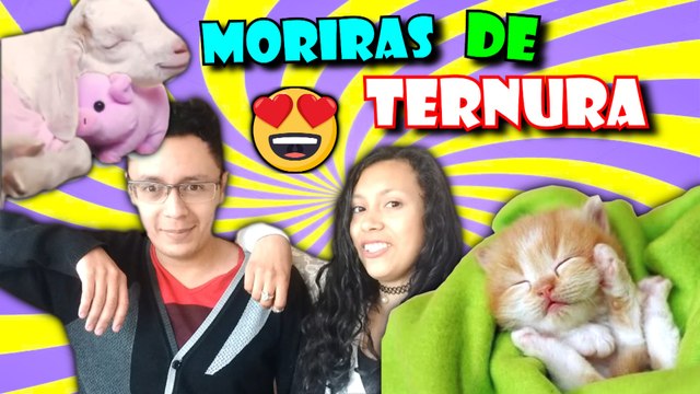 LO MAS TIERNO DE ANIMALITOS QUE VERAS EN TODA TU VIDA | OSCAR JACK FT EPDLM
