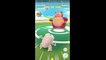 Pokémon GO Gym Battles Level 6 Gym Weezing Tentacruel Pinsir Snorlax Machamp Arcanine & more