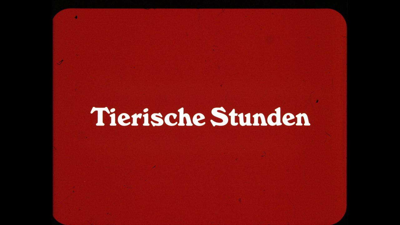 tierischestunden