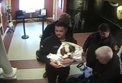 Ce couple emmène son chien en arret cardiaque dans un commissariat et les policier vont sauver l'animal! Héros du jour