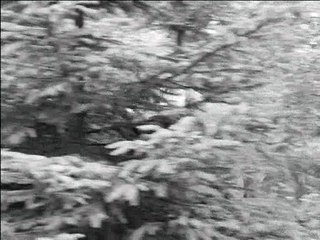 Stülpner Legende - Die Hochzeit