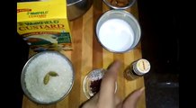 सिर्फ दूध से बनाये क्रिमी मलाईदार कस्टर्ड कुल्फी | Custard Kulfi recipe | Party Special Kulfi, KULFA